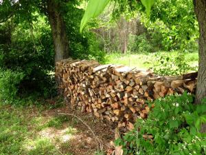 Κήπος έξω από το Fabulous Cabin with Hot-tub in Herod, Illinois +11 φωτογραφίες