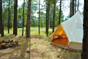 ein orangefarbenes und weißes Zelt im Wald in der Unterkunft Grand Canyon Glamping Tents Perfect for Arizona Vacations in Tusayan