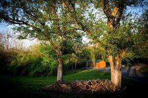 dos árboles en un campo con una casa en el fondo en Beautiful Cabin with Hot-tub in Herod, Illinois, en Karbers Ridge 3 fotos más