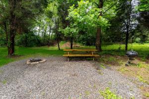 una mesa de picnic y una parrilla en un parque en Beautiful Cabin with Hot-tub in Herod, Illinois, en Karbers Ridge