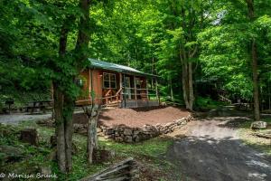 una cabaña en medio de un bosque en Treehouse Cabin in Riverton, WV, en Riverton