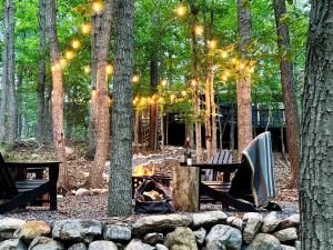 una foresta con un braciere e alberi con luci di Rustic Mountain Cabin with Porch & Fire Pit in New Market, Virginia a New Market