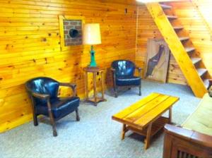 Posezení v ubytování Rustic and Cozy Cabin Rental near Cherry Springs State Park, Pennsylvania + 3 fotografie