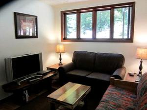 un salon avec un canapé et une télévision dans l'établissement Mountain Cabin Rental with Modern Amenities in Lake Placid, New York, à Whiteface