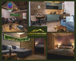 a collage of photos of a living room and kitchen at Mountain Apartment No 209-CORSO Harrachov, High Speed WI-FI, Ambilight smart TV, Netflix, YouTube, FREE parking, PRIVATE ski storage, "Ski-in Ski-out", HARRACHOVCARD in Harrachov