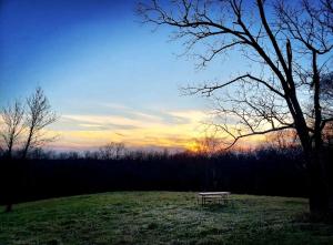 a picnic table in a field with a tree at Rustic Container Accommodation for Glamping in Kentucky in Owenton