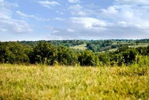 a field of grass with trees in the background at Rustic Container Accommodation for Glamping in Kentucky in Owenton +19 photos