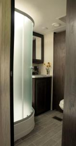 a bathroom with a shower with a toilet and a sink at Brand-New Caravan Rental on a Ranch for a Romantic Getaway in Texas in Cat Spring