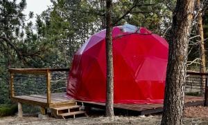 Gallery image of Amazing Dome with Incredible Forest Vistas in Hermosa, South Dakota in Hermosa