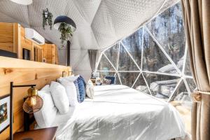 a bedroom with a bed and a large window at Great Luxury Dome for Unique Places to Stay in Tennessee in Jones Cove