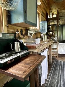 una cucina con fornelli e piano di lavoro di Gorgeous Tiny House Rental for a Glamping Getaway near Saratoga Springs in Upstate New York a Argyle