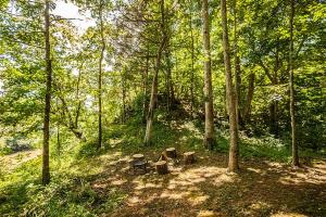 Φυσικό τοπίο κοντά σε αυτή η παραθεριστική κατοικία