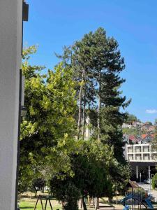 two trees in a park with a playground at Breeze Stay Apartman in Bijelo Polje +12 photos