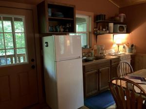 a kitchen with a white refrigerator and a sink at Luxury Cabin Rental with Beautiful Water Views near Charlotte, North Carolina in Elkin +12 photos