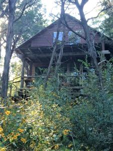 eine Blockhütte inmitten einiger Bäume in der Unterkunft Rustic Two-Bedroom Cabin Rental on Hamilton Creek in Texas Hill Country in Marble Falls