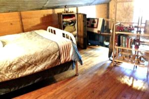 ein Schlafzimmer mit einem Bett und einem Bücherregal in der Unterkunft Rustic Two-Bedroom Cabin Rental on Hamilton Creek in Texas Hill Country in Marble Falls + 11 Fotos