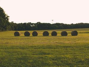 a group of hay bales in a field at Gorgeous Country Cottage for a Farm Getaway in Cookeville, Tennessee in Cookeville +6 photos