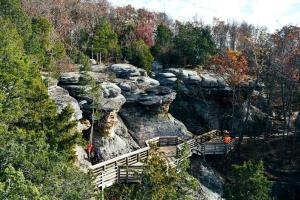 a wooden walkway on a mountain with trees and rocks at Chic Modern Cabin with Jacuzzi Ideal for Couples in Carbondale, Illinois in Makanda