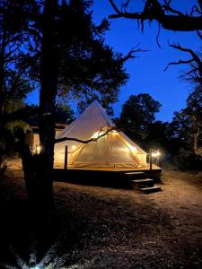una tienda de campaña se coloca bajo un árbol por la noche en Cozy Bell Tent Surrounded by Nature in Duchesne, Utah, en Fruitland