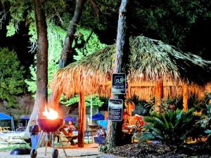 Zahrada ubytování Unforgettable Aquatic Adventure for the Whole Family: Cute Safari Tent on the San Marcos River near Kingsbury, Texas + 45 fotografií