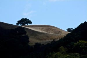 Φυσικό τοπίο κοντά σε αυτή η παραθεριστική κατοικία +23 φωτογραφίες
