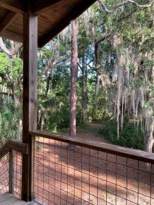 a screened in porch with a view of a forest at Tranquil Glamping near the Coast: Charming Rustic Cabin Rental in Midway, Georgia in Fancy Hall