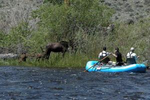 un groupe de personnes sur un radeau dans l'eau dans l'établissement Rustic Log Cabin Rental at a Riverside Resort on the Big Hole River, Montana, à Wise River
