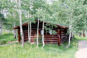 an old log cabin in a field with trees at Family-Friendly Cabin Rental Hidden in Woods of North Central Colorado in Columbine