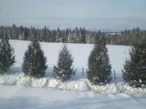 Rustic Family-Friendly Cabin Rental with Full Kitchen in the Northeast Kingdom of Vermont v zimě + 2 fotografie
