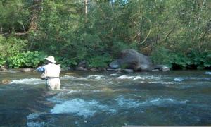 Ein Mann steht in einem Fluss und hält eine Angelrute. in der Unterkunft Spectacular Riverside Getaway Cabin with Claw Foot Bathtub in Castella, California in Dunsmuir