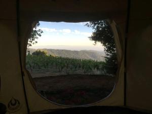 Příroda nedaleko luxury tent