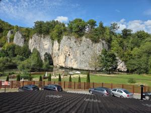 a group of cars parked in front of a mountain at Pensiunea Gradia Șuncuiuș in Şuncuiuş +13 photos