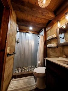 a bathroom with a shower and a toilet and a sink at Renovated Cottage with Spa Surrounded by Beautiful Hiking Trails in Ohio in Deersville