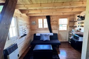 Η κουζίνα ή μικρή κουζίνα στο Eco-Friendly Lakefront Tiny House with Views of Panorama Mountain near Denali National Park