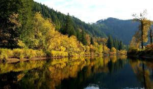 Příroda nedaleko prázdninového domu
