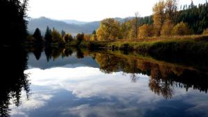 a river with a reflection of trees in the water at Cozy Suite Rental with Breathtaking Views near Sandpoint, Idaho in Careywood