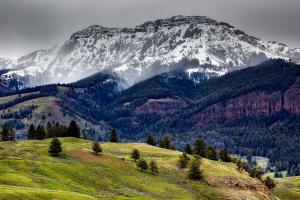 Příroda nedaleko prázdninového domu