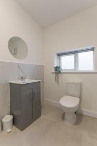 ein Badezimmer mit Toilette, Waschbecken und Spiegel in der Unterkunft Contractor's Cottage Kildare 5 Double Beds in Bodenstown