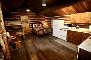 a kitchen with a refrigerator and a couch in a cabin at Unique Camping Cabin Tucked in Wilderness near Steamboat Springs, Colorado in Columbine