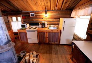 a kitchen with a white refrigerator and a stove at Unique Camping Cabin Tucked in Wilderness near Steamboat Springs, Colorado in Columbine