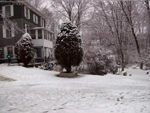une cour couverte de neige devant une maison dans l'établissement Spacious Cottage Rental with Creek Views near Harrisburg and Hershey, Pennsylvania, à Highspire
