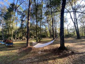 Zahrada ubytování Outstanding Cottage with Barbecue and Fire Pit in Dunnellon, Florida + 32 fotografií