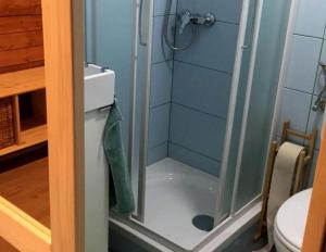 Ένα μπάνιο στο Idyllic Family Getaway on a Working Farm in Transylvania, Romania