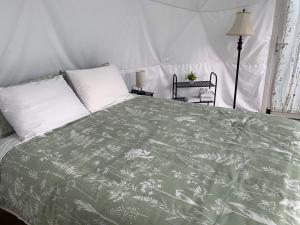 Voodi või voodid majutusasutuse Modern Dome for an Unforgettable Getaway with Incredible Views in Colorado toas