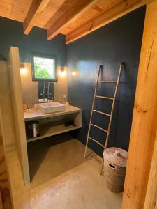 ein Badezimmer mit einem Waschbecken und einer Leiter in der Unterkunft Charmant Chalet au bord du lac in Lacanau