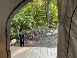 Fotografie z fotogalerie ubytování Reconnect with Nature at this Glamping Tent in East Wakefield, New Hampshire v destinaci East Wakefield + 6 fotografií