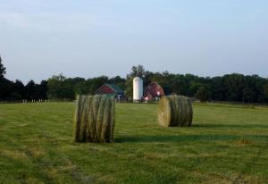 two hay bales in a field with a barn at Classic Cottage Rental on Huge Horse and Cattle Farm near Charlottesville in Gordonsville +7 photos
