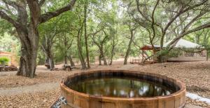 a wooden barrel in the middle of a forest at Elegant Yurt Tucked Beneath Oak Trees on Southern California Ranch in Cayucos