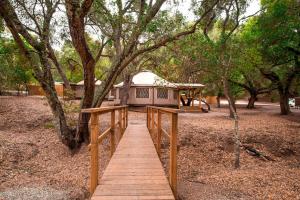 a wooden walkway leading to a building with a tree at Elegant Yurt Tucked Beneath Oak Trees on Southern California Ranch in Cayucos