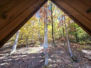 vista dall'interno di una tenda nel bosco di Rustic Tree A-Frame with Original Design by Tappan Lake in Ohio 